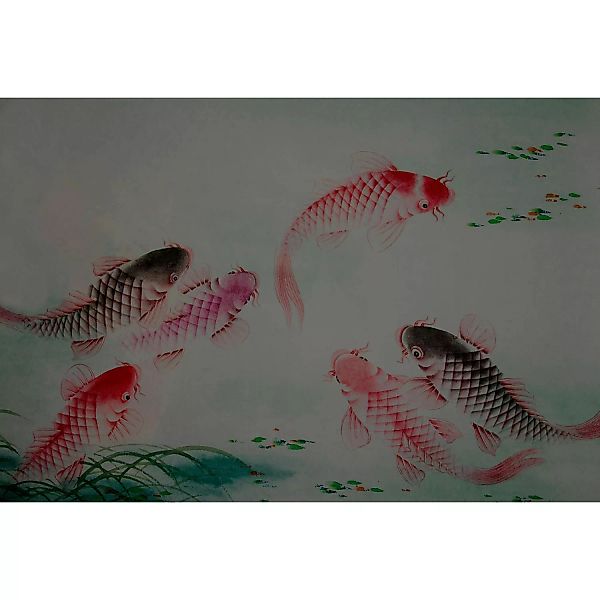 Fototapete Fische Koi Karpfen Rot Rosa Grün Grau 4,00 m x 2,70 m FSC® günstig online kaufen