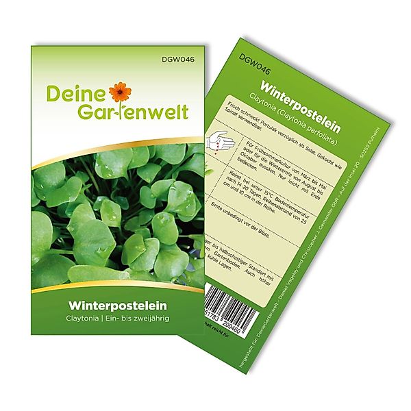 Deine Gartenwelt Winterpostelein Winterportulak Samen günstig online kaufen