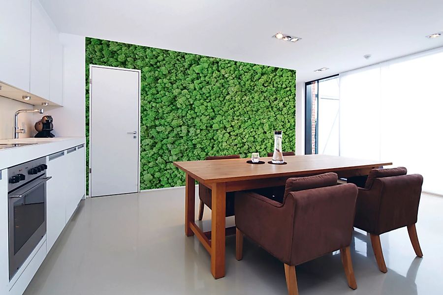 Architects Paper Fototapete »Real Moss« günstig online kaufen