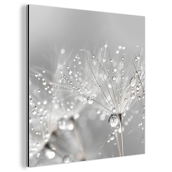 MuchoWow Metallbild Löwenzahn - Wassertropfen - günstig online kaufen