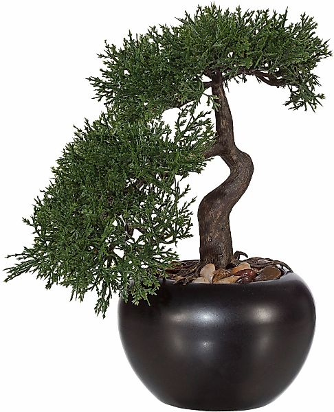 Creativ green Kunstbonsai "Bonsai Zeder im Keramiktopf" günstig online kaufen