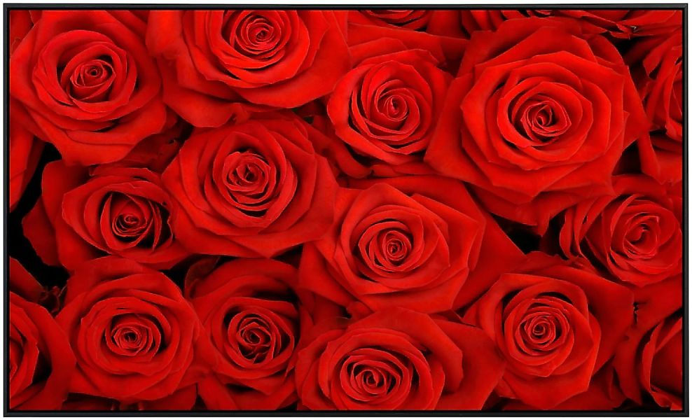 Papermoon Infrarotheizung »Rote Rosen«, sehr angenehme Strahlungswärme günstig online kaufen