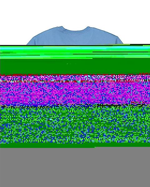 Quiksilver T-Shirt Salt Water 2024 günstig online kaufen