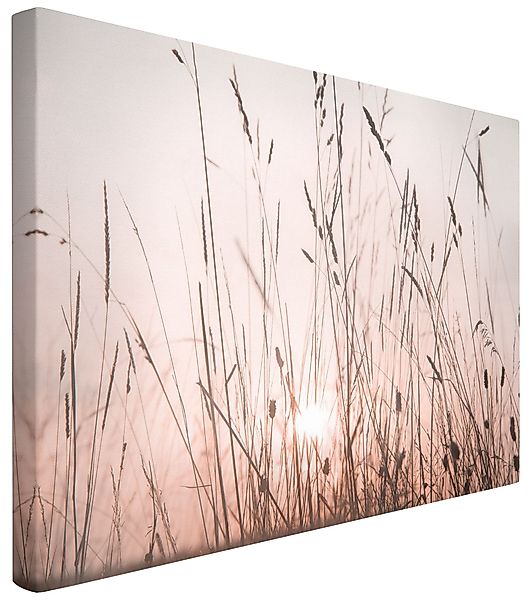 Bilderdepot24 Leinwandbild Kunstdruck Sommerabend creme beige günstig online kaufen