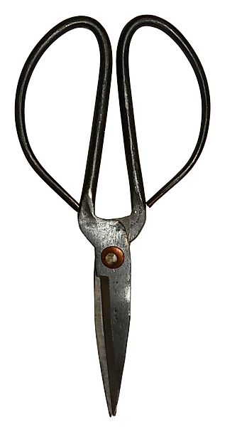 Ib Laursen Gartenpflege-Set IB Laursen Schere günstig online kaufen