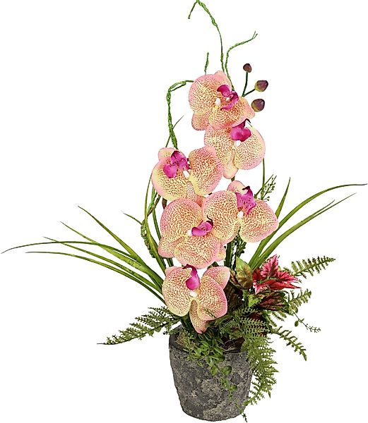Kunstpflanze Orchidee, I.GE.A., Höhe 46 cm günstig online kaufen