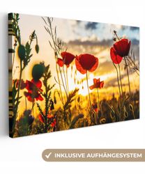 OneMillionCanvasses® Leinwandbild Rote Mohnblumen bei Sonnenaufgang, günstig online kaufen
