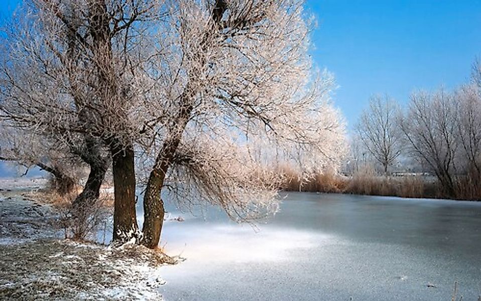 Papermoon Fototapete »Winter Fluss« günstig online kaufen