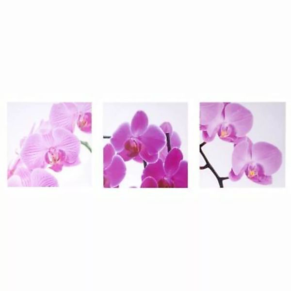 HWC Mendler Leinwandbild 3-teilig, 150x50cm, Orchidee mehrfarbig günstig online kaufen