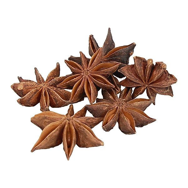 Trockenblume Getrockneter Sternanis 500g - Naturdeko günstig online kaufen