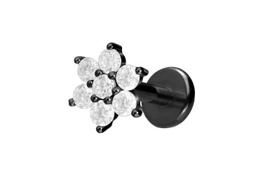 PIERCINGLINE Piercing-Set Titan Labret mit Innengewinde günstig online kaufen