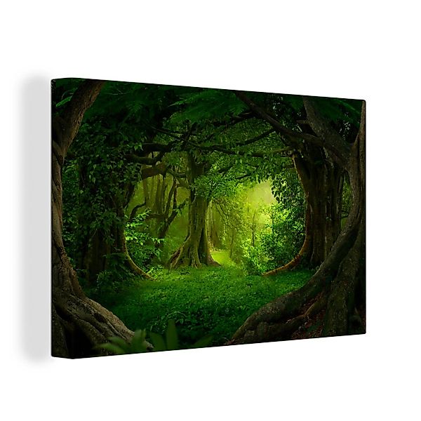 OneMillionCanvasses® Leinwandbild Bäume - Wald - günstig online kaufen