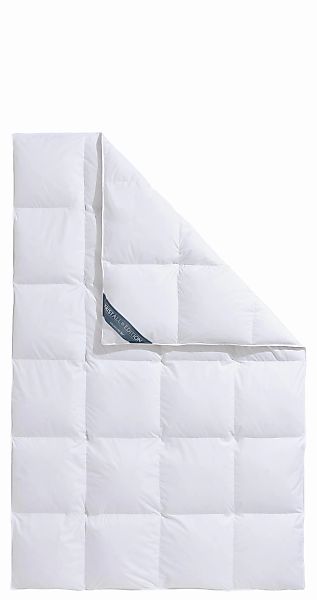 Haeussling Daunenbettdecke »Kristall Edition«, extrawarm, Füllung 60% Daune günstig online kaufen