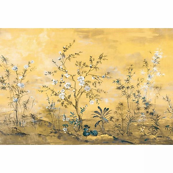 Komar Fototapete Vlies Mandarin  368 x 248 cm günstig online kaufen
