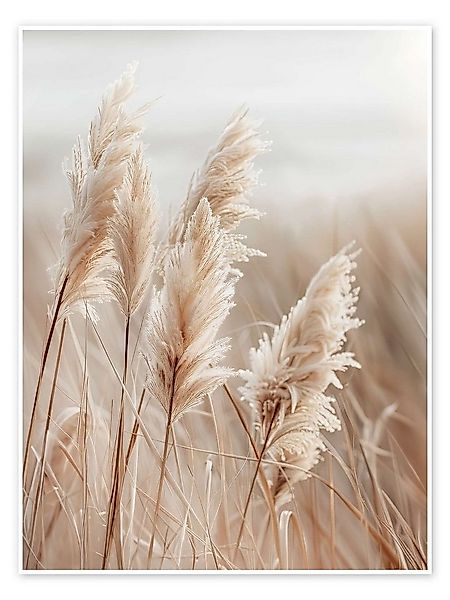 Posterlounge Wandbild Pampasgras am Meer, Melanie Viola, erhältlich als Pos günstig online kaufen