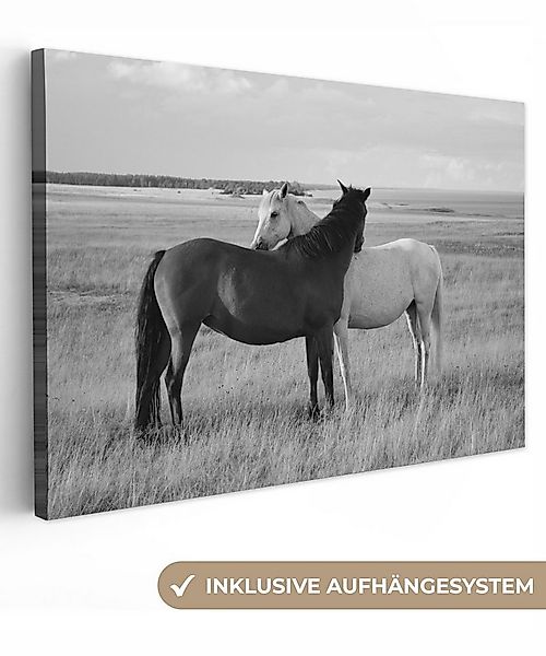 OneMillionCanvasses® Leinwandbild Pferde - Tiere - Porträt - Schwarz-Weiß - günstig online kaufen