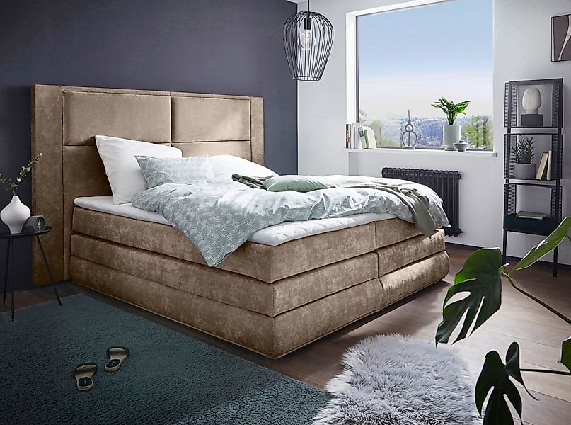 COLLECTION AB Boxspringbett Copenhagen, inklusive Bettkasten, günstig online kaufen