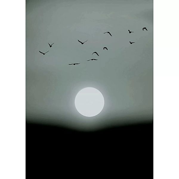 Fototapete Vögel Mond Nebel Weiß Grau Schwarz  2,00 m x 2,80 m FSC® günstig online kaufen