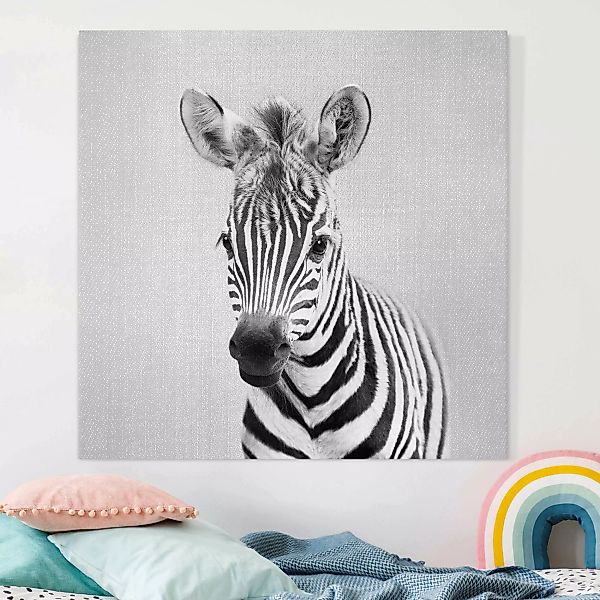 Leinwandbild Baby Zebra Zoey Schwarz Weiß günstig online kaufen