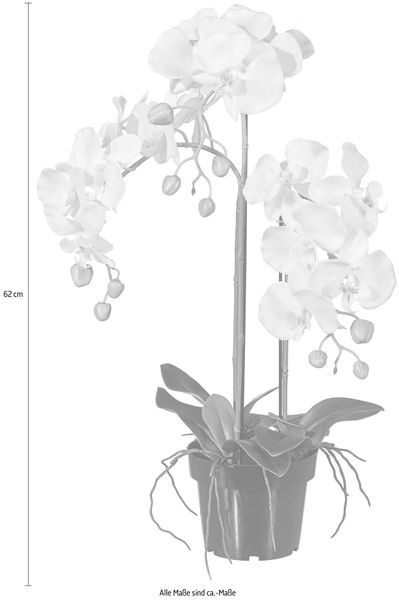 Kunstpflanze Orchidee, Creativ green, Höhe 62 günstig online kaufen