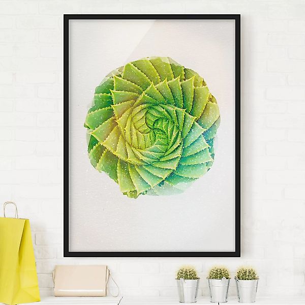 Bild mit Rahmen - Hochformat Wasserfarben - Spiral Aloe günstig online kaufen