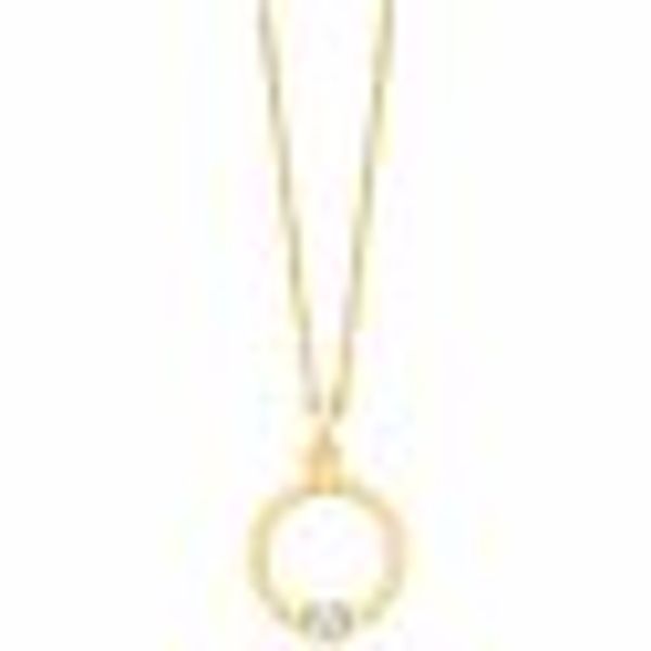 Anhänger mit Kette 925/- Sterling Silber vergoldet 1 Zirkonia günstig online kaufen