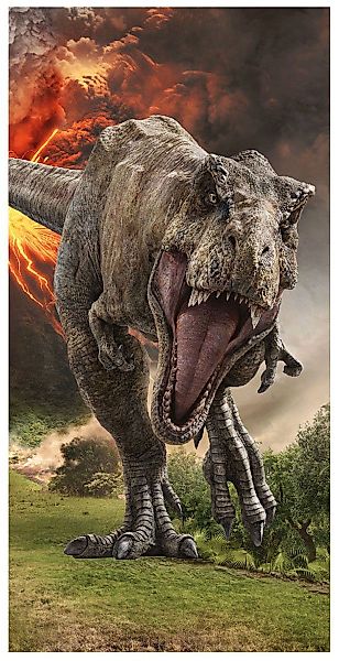 Jurassic World Handtuch Strandtuch Jurassic World günstig online kaufen