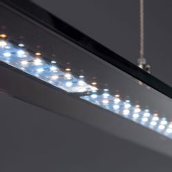 FISCHER & HONSEL Pendelleuchte, höhenverstellbar, dimmbar, günstig online kaufen