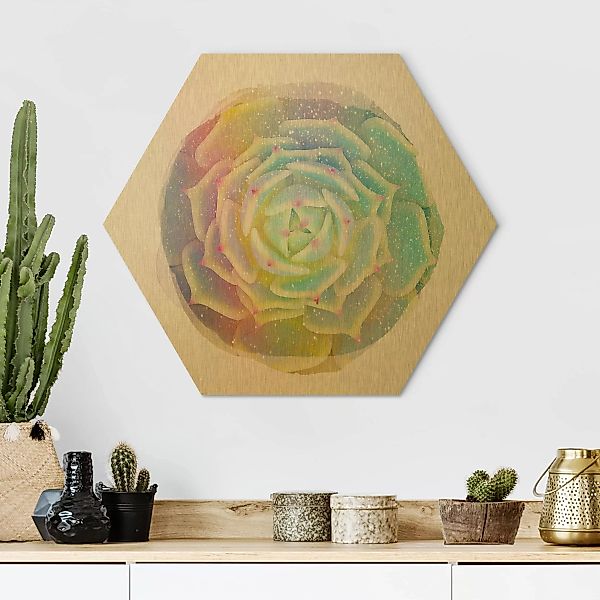 Hexagon-Alu-Dibond Bild Abstrakt Wasserfarben - Sukkulente - Echeveria Ben günstig online kaufen