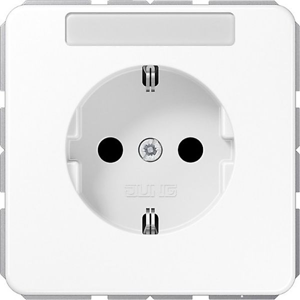 Jung SCHUKO-Steckdose alpinweiß CD 1520 NA WW - CD1520NAWW günstig online kaufen