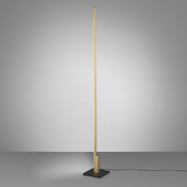 Quitani Talon LED-Stehleuchte eloxal messing matt günstig online kaufen