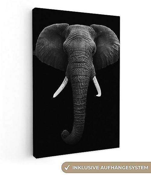 OneMillionCanvasses® Leinwandbild Elefant - Wildtiere - Schwarz - Weiß - Po günstig online kaufen