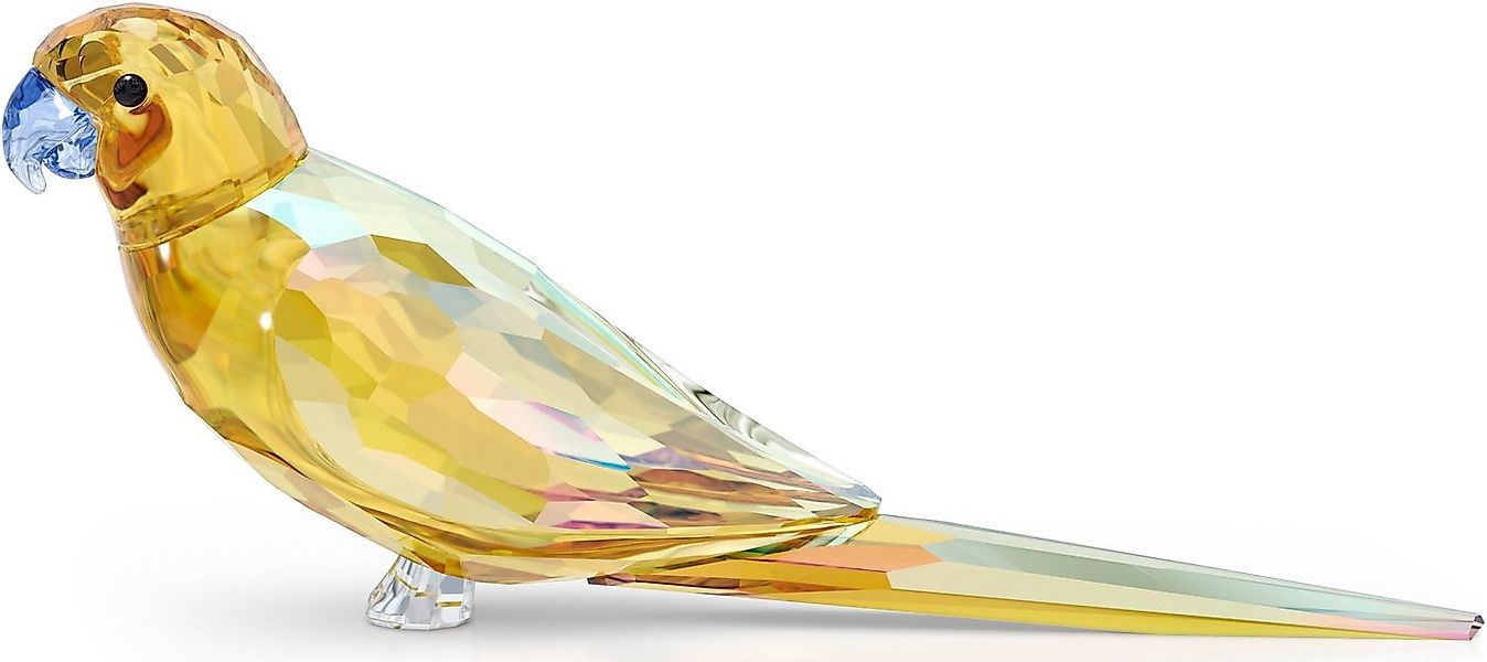 Swarovski Dekofigur Kristallfigur Vogel Jungle Beats Gelbbauchsittich Leche günstig online kaufen
