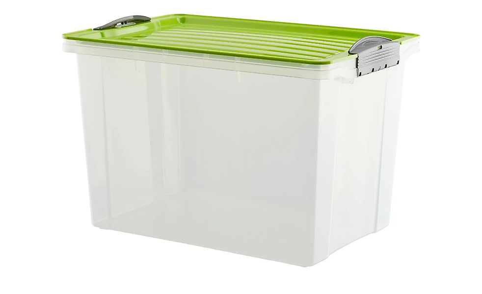 Rotho Aufbewahrungsbox mit Deckel - grün - Kunststoff - 27,5 cm - 27 cm - S günstig online kaufen