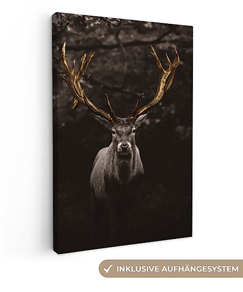 OneMillionCanvasses® Leinwandbild Hirschgeweih gold, Fotodruck (1 günstig online kaufen