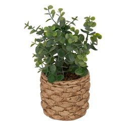 Kunstpflanze Zimmerpflanze, Atmosphera Créateur d'intérieur, Höhe günstig online kaufen