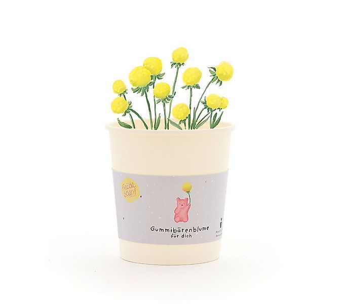 Die Stadtgärtner Anzuchttopf Gummibärenblumen-Anzuchtset als lustiges Gesch günstig online kaufen