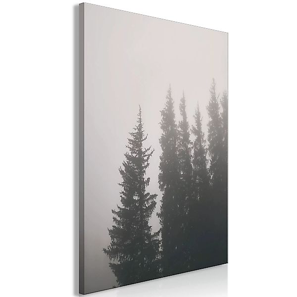 Wandbild - Smell of Forest Fog (1 Part) Vertical günstig online kaufen