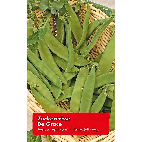 Zuckererbse De Grace günstig online kaufen
