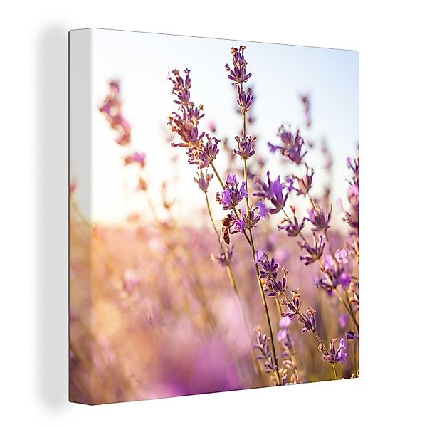 OneMillionCanvasses® Leinwandbild Lavendel - Nahaufnahme - günstig online kaufen