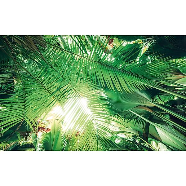 Vlies Fototapete Dschungeldach 450x280 cm günstig online kaufen