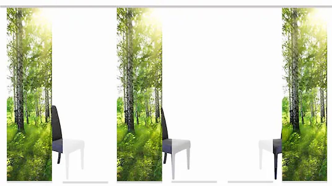 HOME WOHNIDEEN Schiebegardine »GALWAY« Klettband 6 Stk. tlg. HxB: 245x60, i günstig online kaufen