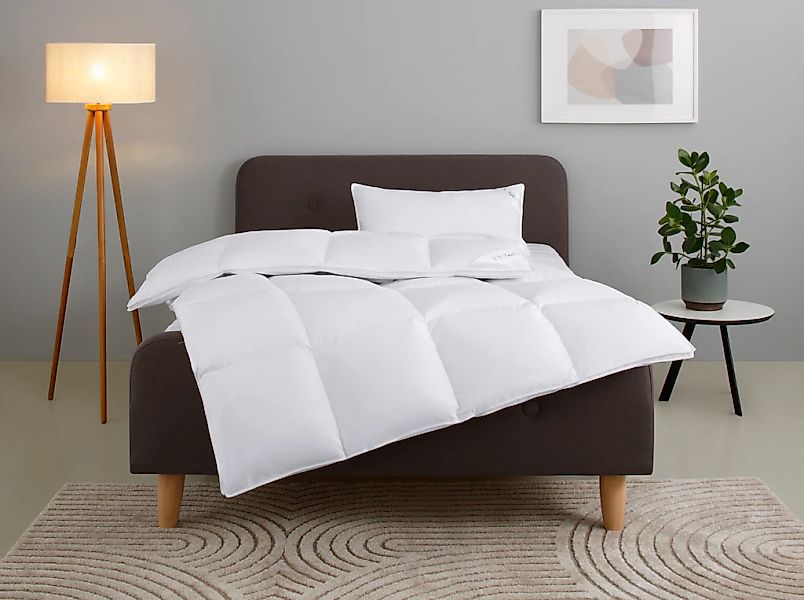 Home affaire Gänsedaunenbettdecke + Kopfkissen "Litrone Bettdecke 135x200 c günstig online kaufen