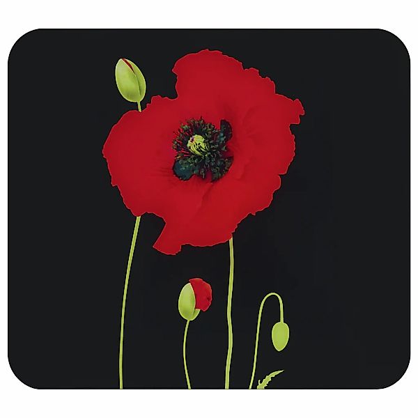 Maximex Herd-Abdeckplatte "Multi Modell Mohn" Spritzschutz, Herdblende, Sch günstig online kaufen