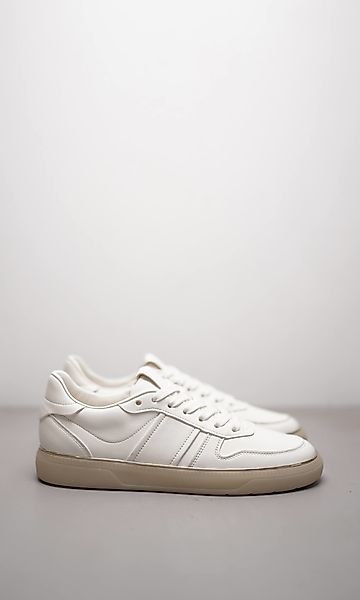 ARI günstig online kaufen