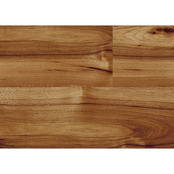 Kaindl Masterfloor Laminat 8 mm Hickory Bravo günstig online kaufen