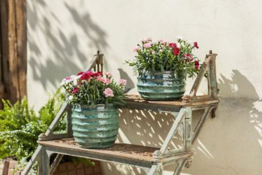HOME Living Pflanztopf Jade Blumentöpfe grün günstig online kaufen