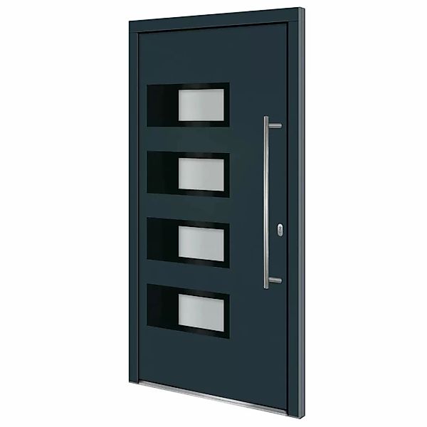 vidaXL Haustür Haustür Anthrazit 110x210 cm günstig online kaufen