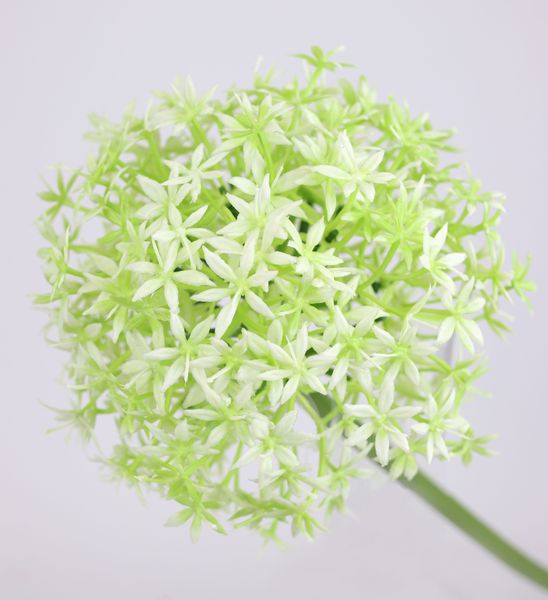 Kunstblume Allium Zierlauch, I.GE.A., Höhe 80 günstig online kaufen