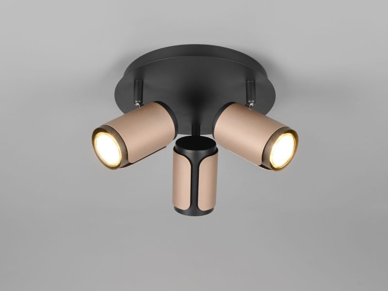 TRIO Leuchten LED Deckenspot, LED wechselbar, günstig online kaufen